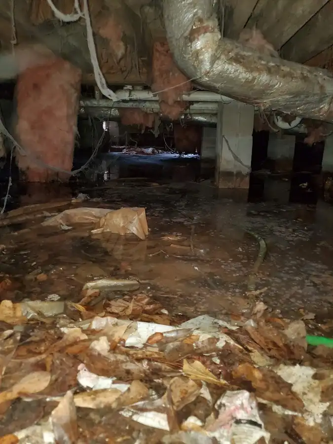 Crawl space flood assessment for Leak Detection & Repair in Slidell