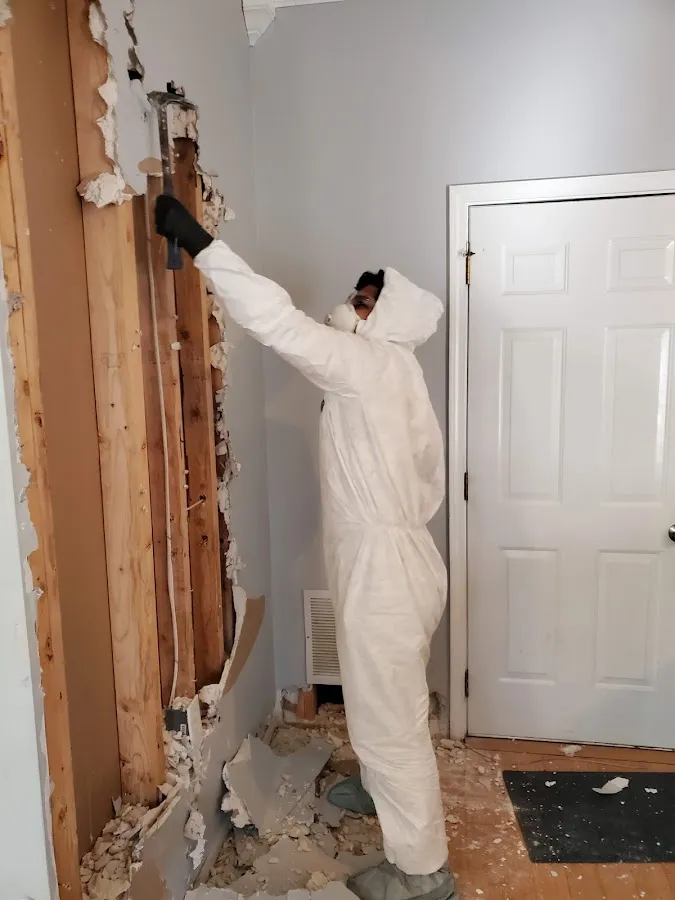 Mold Remediation & Removal in Slidell, LA